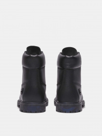 Ботинки Timberland Premium 6-Inch Waterproof модель TB0A5Q9S015 Фото