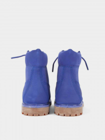 Ботинки Timberland Premium 6-Inch Waterproof модель TB0A2R51G58 Фото