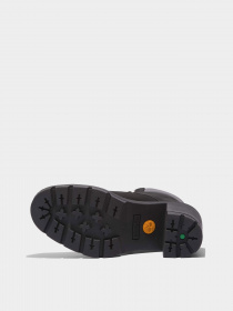 Бoтильоны Timberland ALLINGTON HEIGHTS модель TB0A5Y6C015 Фото