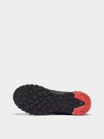 Кроссовки Timberland Lincoln Peak Gore-Tex® Low Hiking модель TB0A5PEYEZ3 Фото