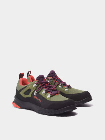 Кроссовки Timberland Lincoln Peak Gore-Tex® Low Hiking модель TB0A5PEYEZ3 Фото