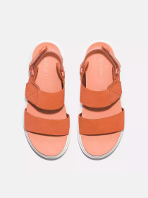 Сандалии Timberland Greyfield 2-Strap модель TB0A6148ET0 Фото