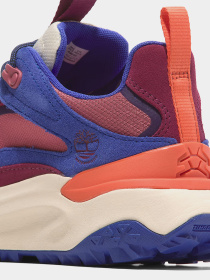 Кроссовки аутдор Timberland модель TB0A2N4BENU Фото