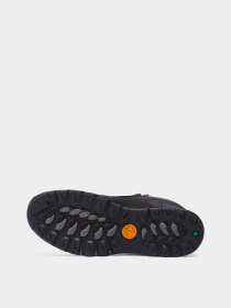 Черевики Timberland Women's Mt. Maddsen Winter Waterproof модель TB1A42TW015 Фото