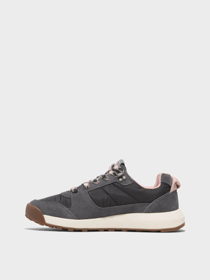 Кросівки Timberland Retro Swift Low Lace-Up Trainer модель TB0A286WEJA — фото - INTERTOP