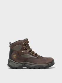 Ботинки Timberland Chocorua Waterproof Hiking модель TB015631242 Фото