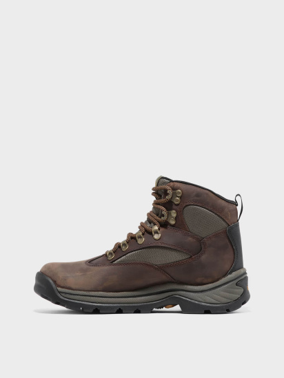 Черевики Timberland Chocorua Waterproof Hiking модель TB015631242 — фото - INTERTOP