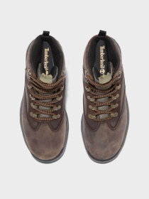 Черевики Timberland Chocorua Waterproof Hiking модель TB015631242 Фото