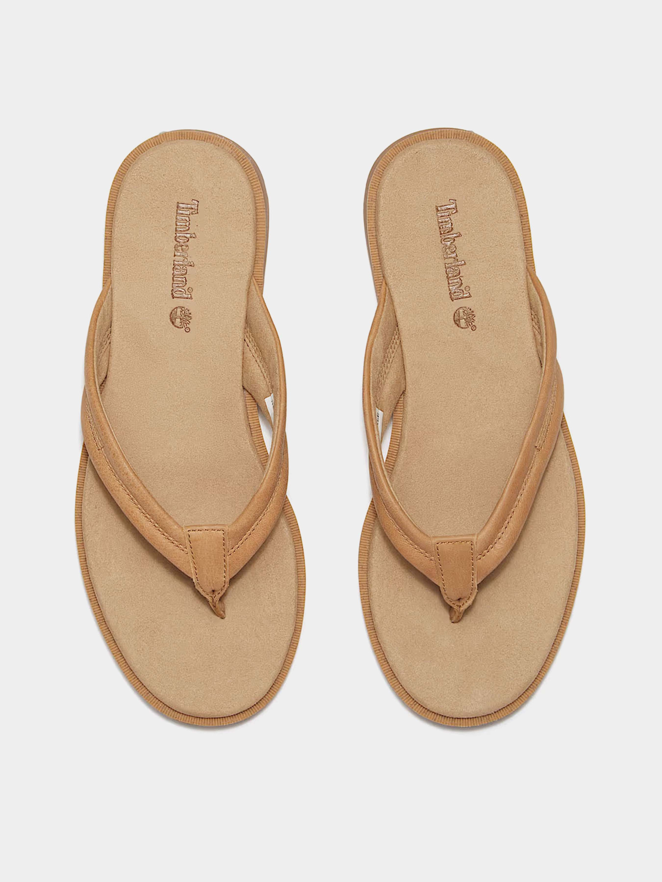 В'єтнамки Timberland Calista Bay Thong модель TB0A2R5FEN2 Фото