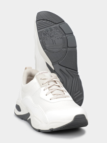 Кроссовки Timberland DELPHIVILLE модель TB0A4218100 Фото