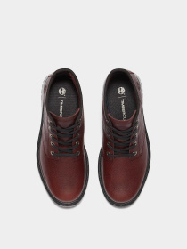 Ботинки Timberland CAMBRIA VALLEY модель TB0A42B8EIW Фото