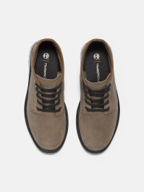 Ботинки Timberland CAMBRIA VALLEY модель TB0A42B8EJR Фото