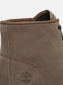 Ботинки Timberland CAMBRIA VALLEY модель TB0A42B8EJR Фото