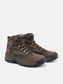 Ботинки аутдор Timberland CHOCORUA GTX модель TB115631242 Ботинки аутдор Timberland CHOCORUA GTX модель TB115631242 Фото