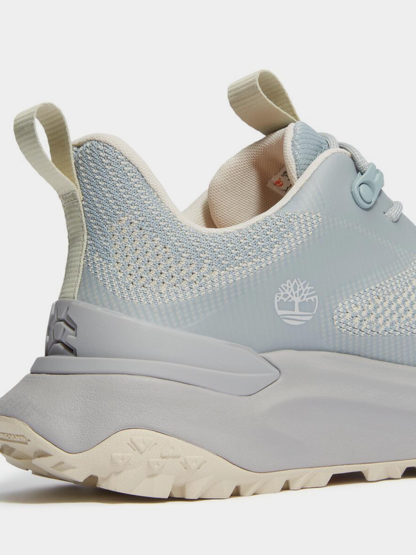 Кросівки Timberland MOTION ACCESS модель TB0A29PPEAN Фото