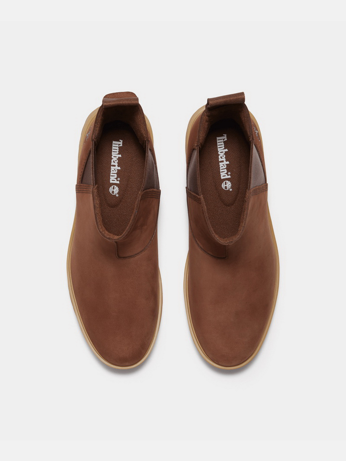 Челси Timberland CARNABY COOL модель TB0A2CZQEM5 Фото