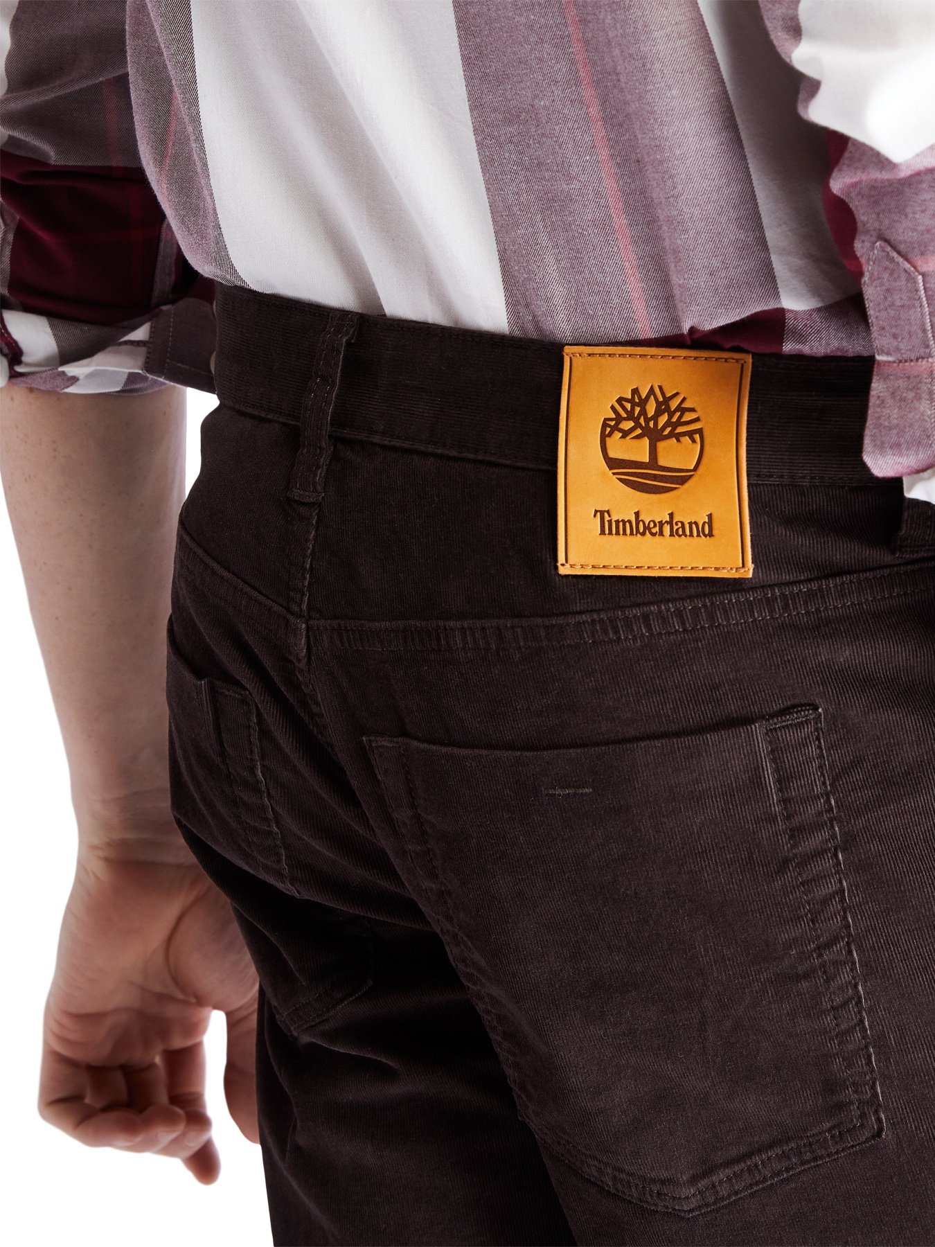 Брюки повседневные Timberland Squam Lake Corduroy модель TB0A2C4ZC3532 Фото