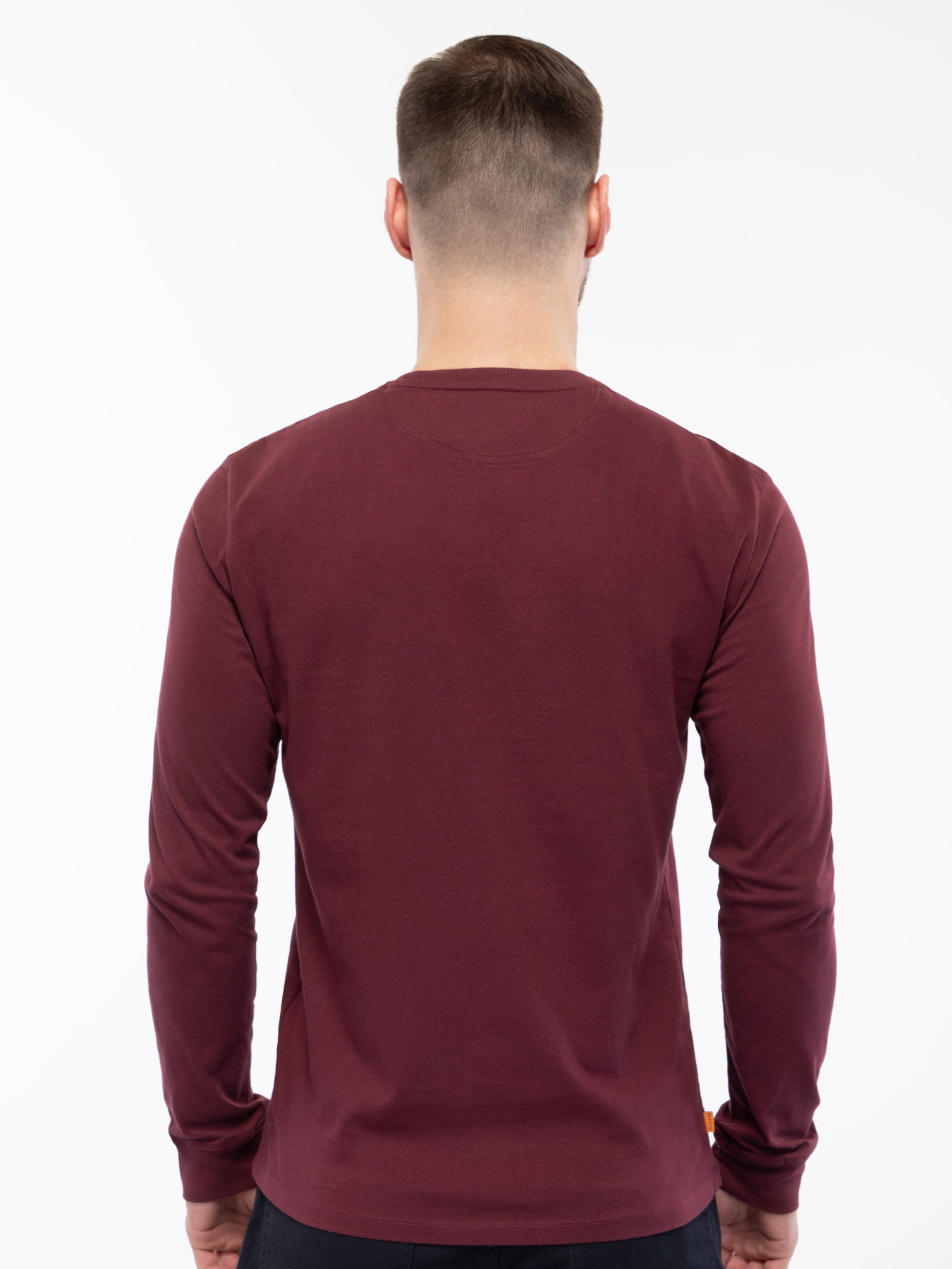 Реглан Timberland LS Dunstan River модель TB0A2BQ3I30 Фото