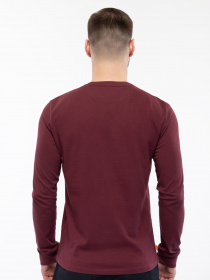 Реглан Timberland LS Dunstan River модель TB0A2BQ3I30 Фото