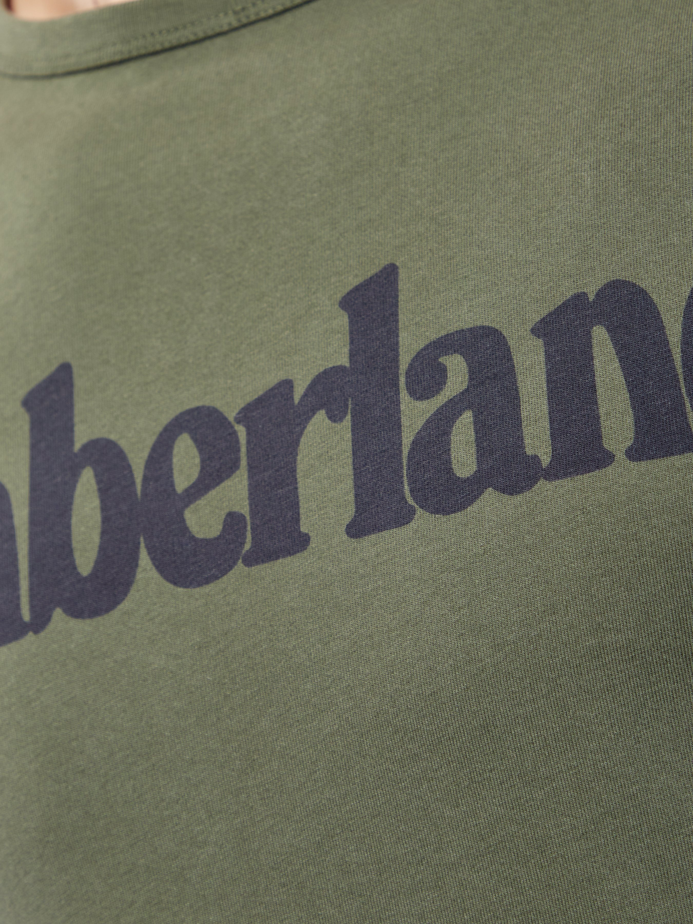 Реглан Timberland модель TB0A1N6GU31 Фото