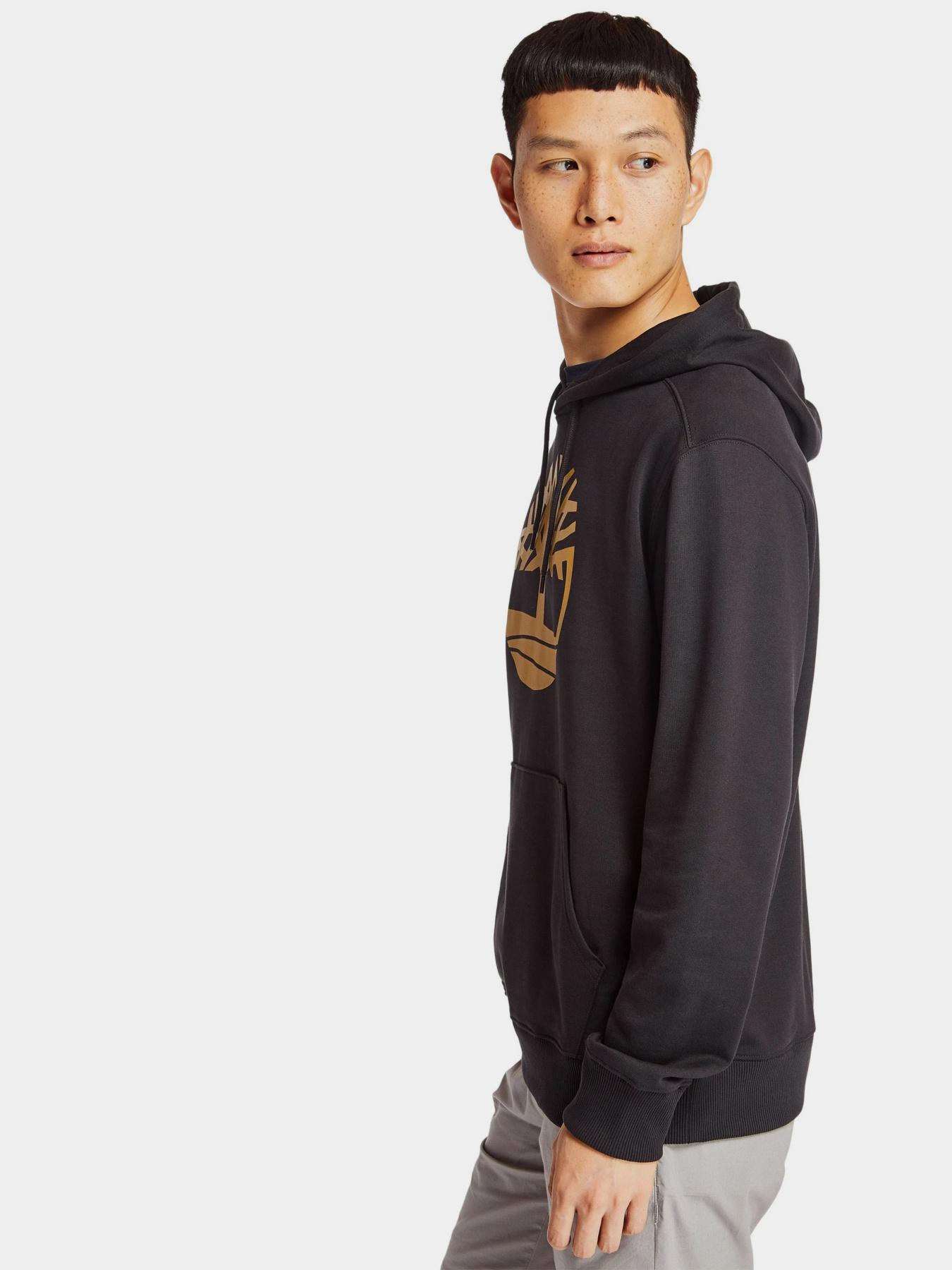 Худи Timberland Core Tree Logo модель TB0A28HZP56 Фото