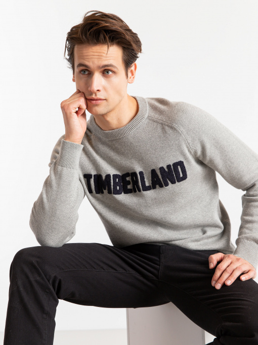Світшот Timberland Logo Crew Neck модель TB0A1ZVN052 Фото