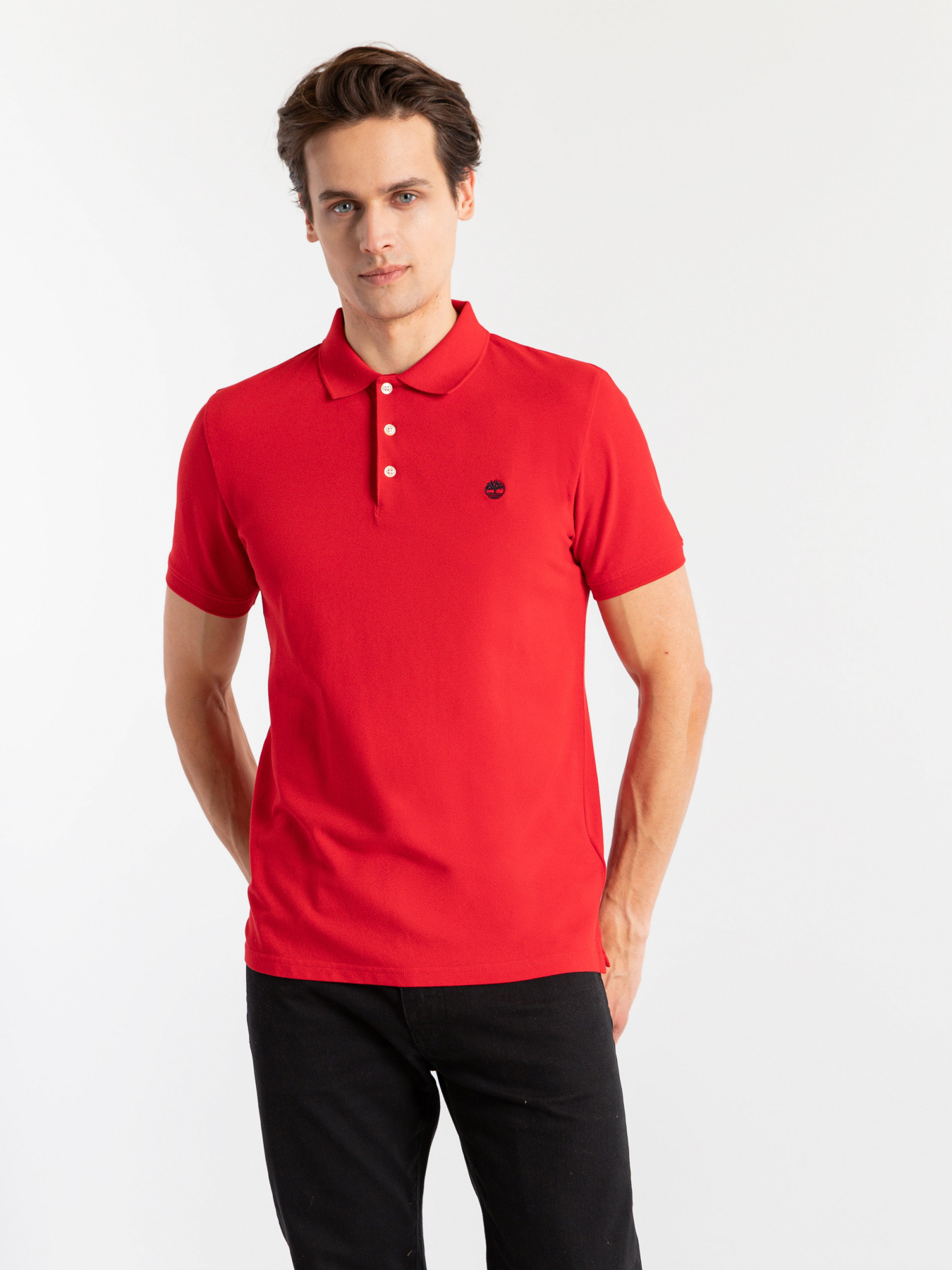 Поло Timberland Stretch модель TB0A1YRTP92 Фото