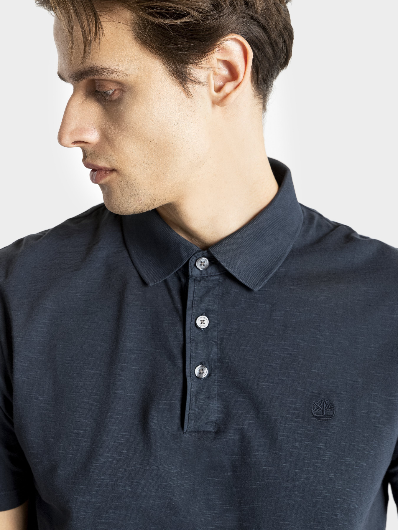 Поло Timberland модель TB0A1ZRK433 Фото