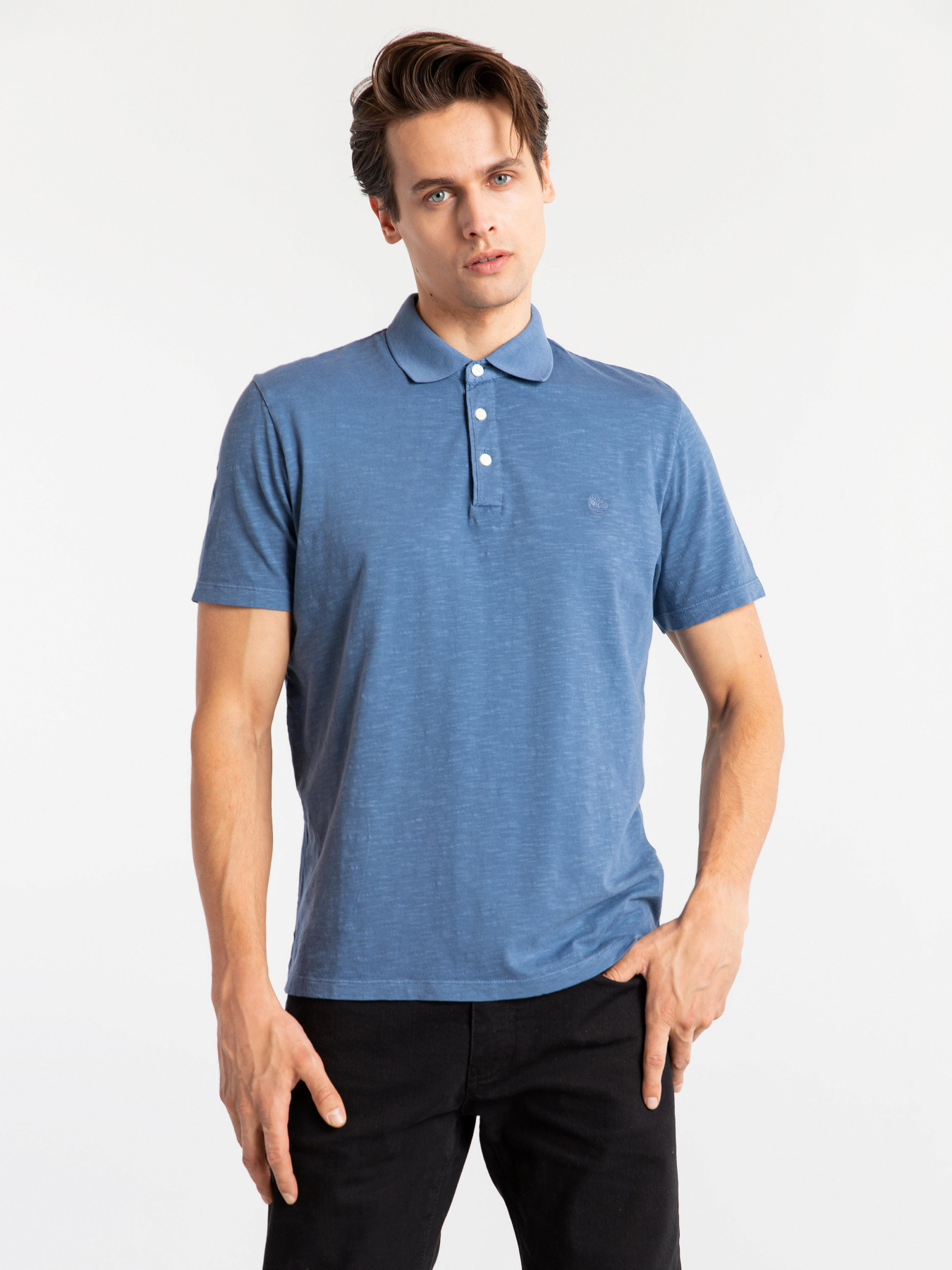 Поло Timberland Playera модель TB0A1ZRKX78 Поло Timberland Playera модель TB0A1ZRKX78 Фото