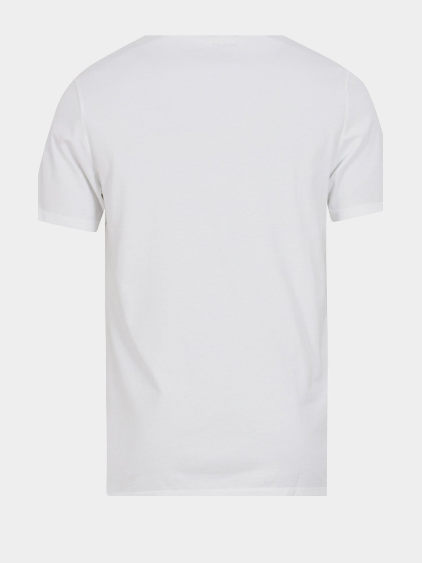 Футболки и поло Timberland Kennebec River Graphic модель TB0A1Z26100 Фото