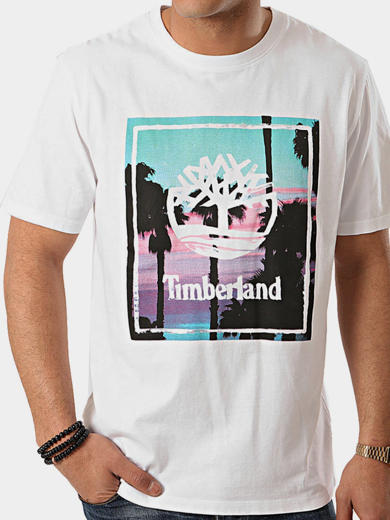 Футболки и поло Timberland Kennebec River Graphic модель TB0A1Z26100 Фото