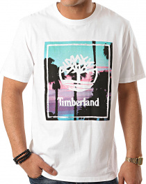 Футболки и поло Timberland Kennebec River Graphic модель TB0A1Z26100 Фото