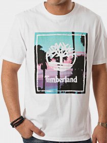 Футболки и поло Timberland Kennebec River Graphic модель TB0A1Z26100 Фото