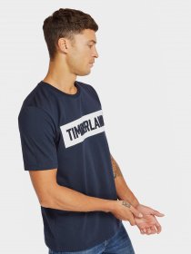 Футболки и поло Timberland Mink Brook модель TB0A1Z34433 Фото