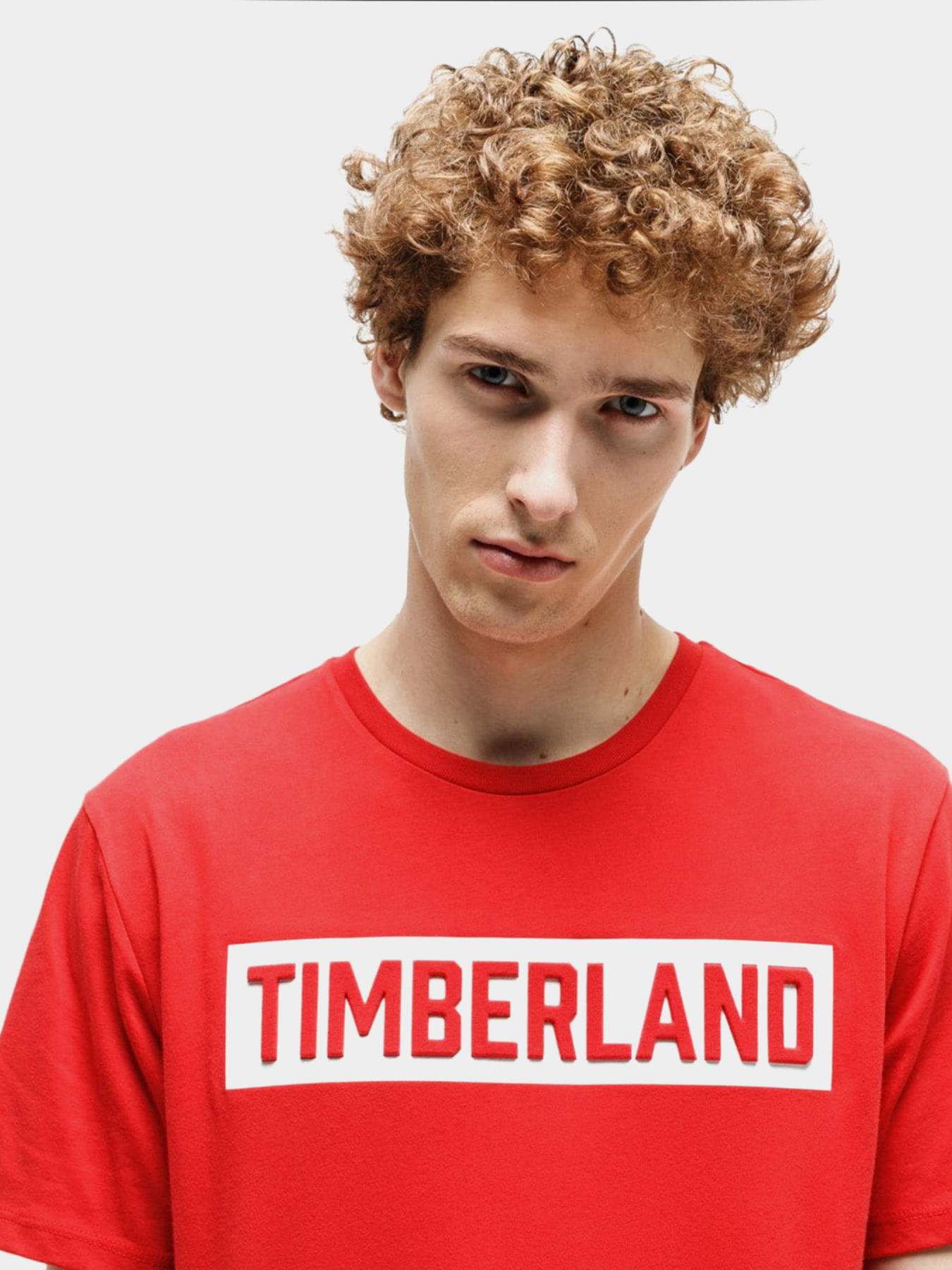 Футболки і поло Timberland Mink Brook модель TB0A1Z34P92 Фото