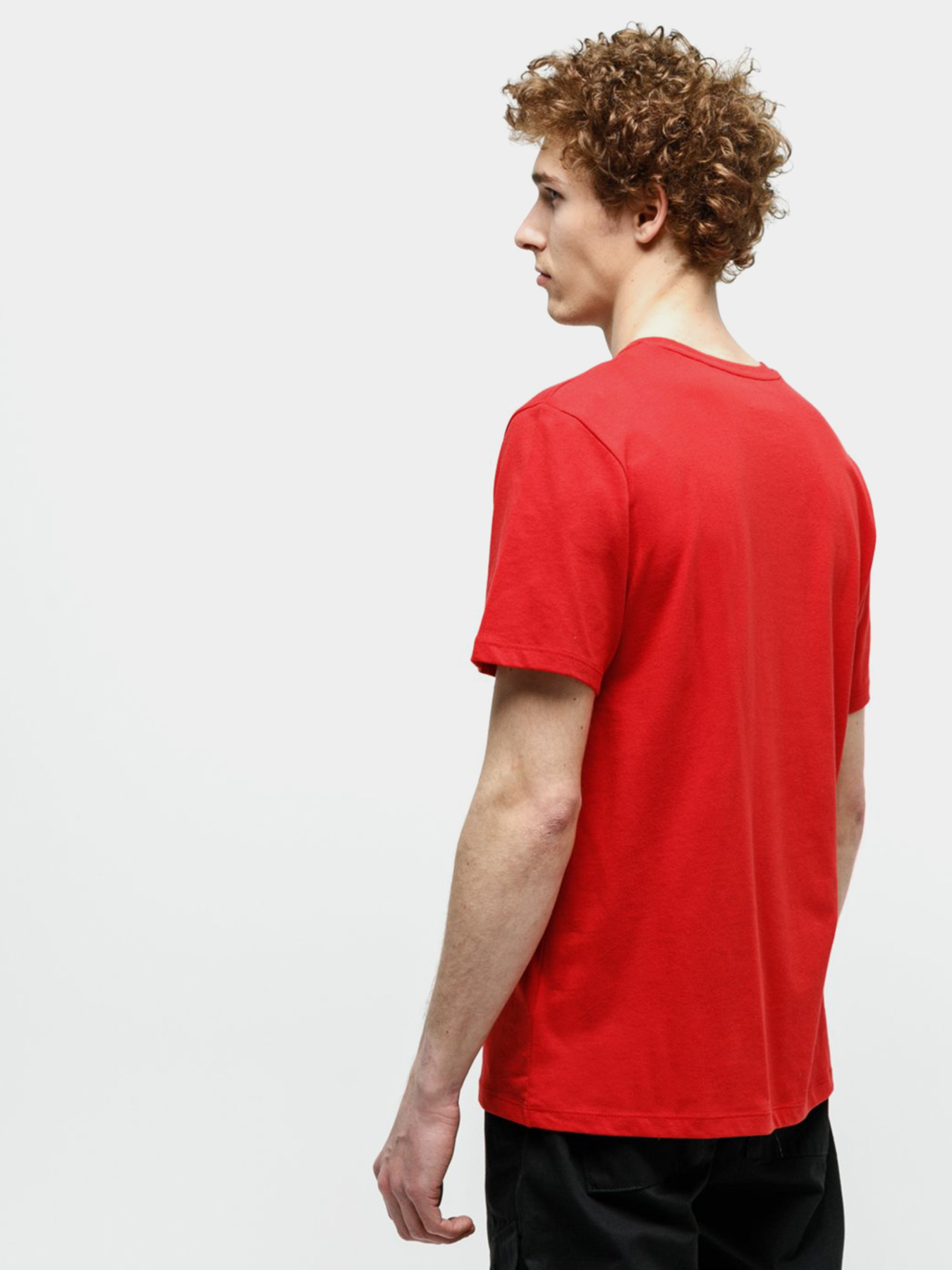 Футболки и поло Timberland Mink Brook модель TB0A1Z34P92 Фото