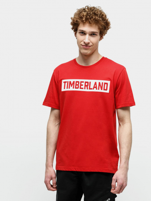 Футболки і поло Timberland Mink Brook модель TB0A1Z34P92 Фото