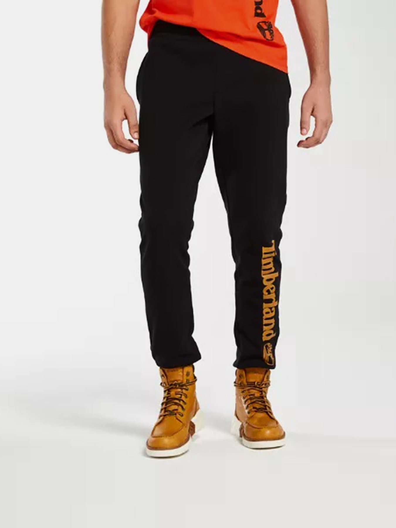 Штани спортивні Timberland Core Logo Модель TB0A21T3P56 Фото