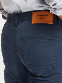 Повседневные штаны Timberland Sargent Lake модель TB0A1MT643334 Фото