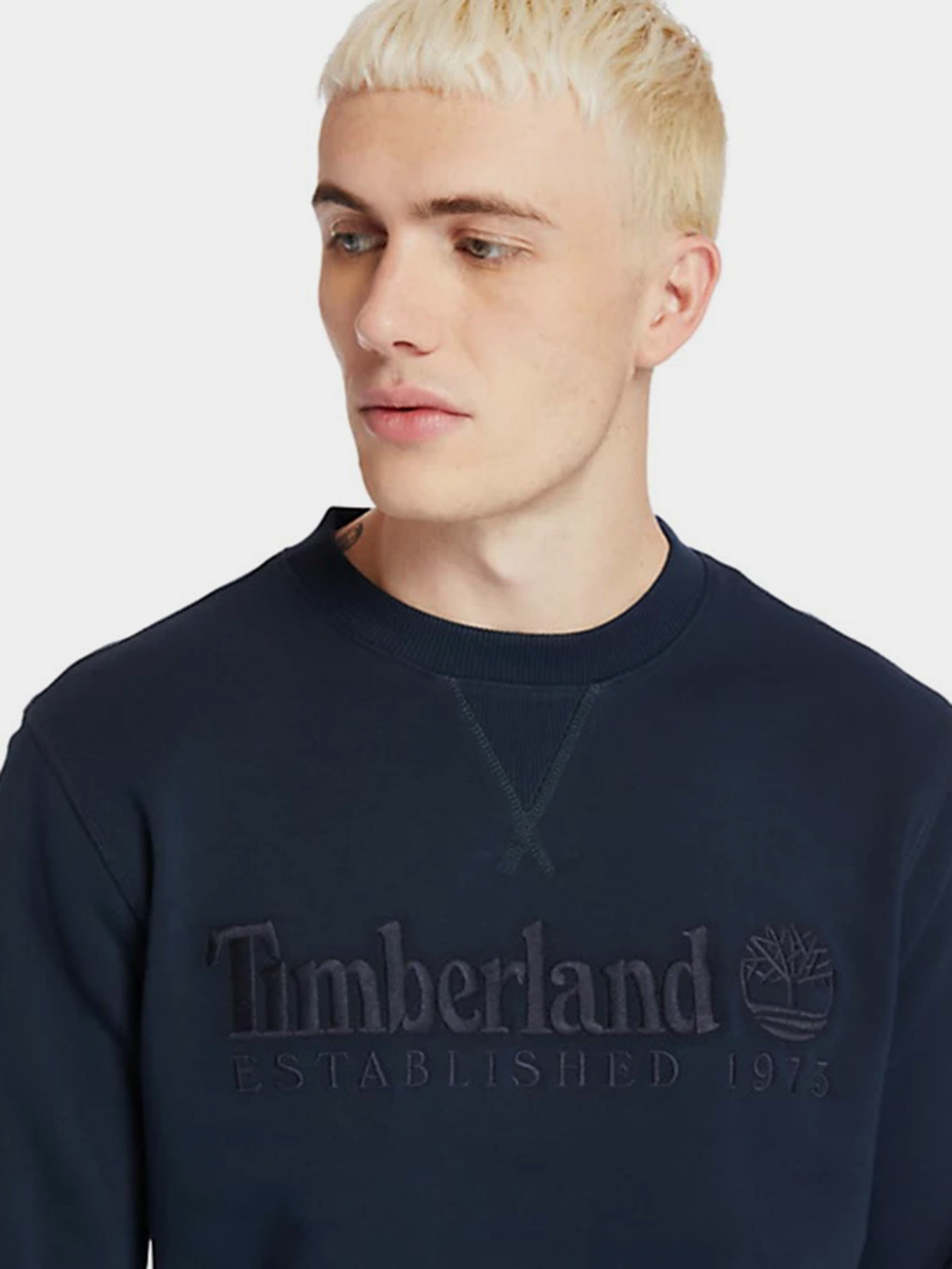 Світшот Timberland Outdoor Heritage модель TB0A2FEQ433 Фото