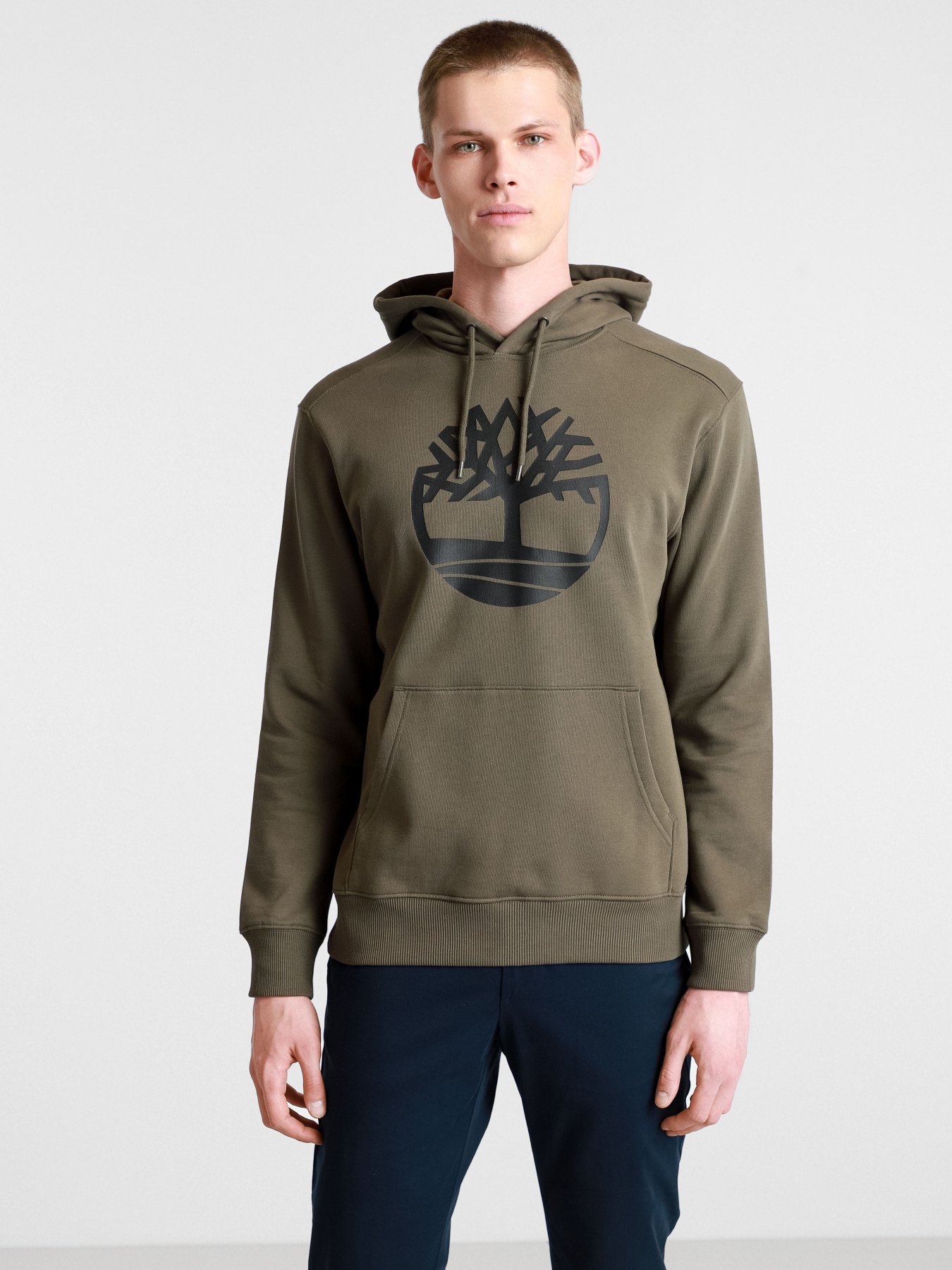 Худи Timberland Core Tree Logo модель TB0A2BJHZ28 Фото