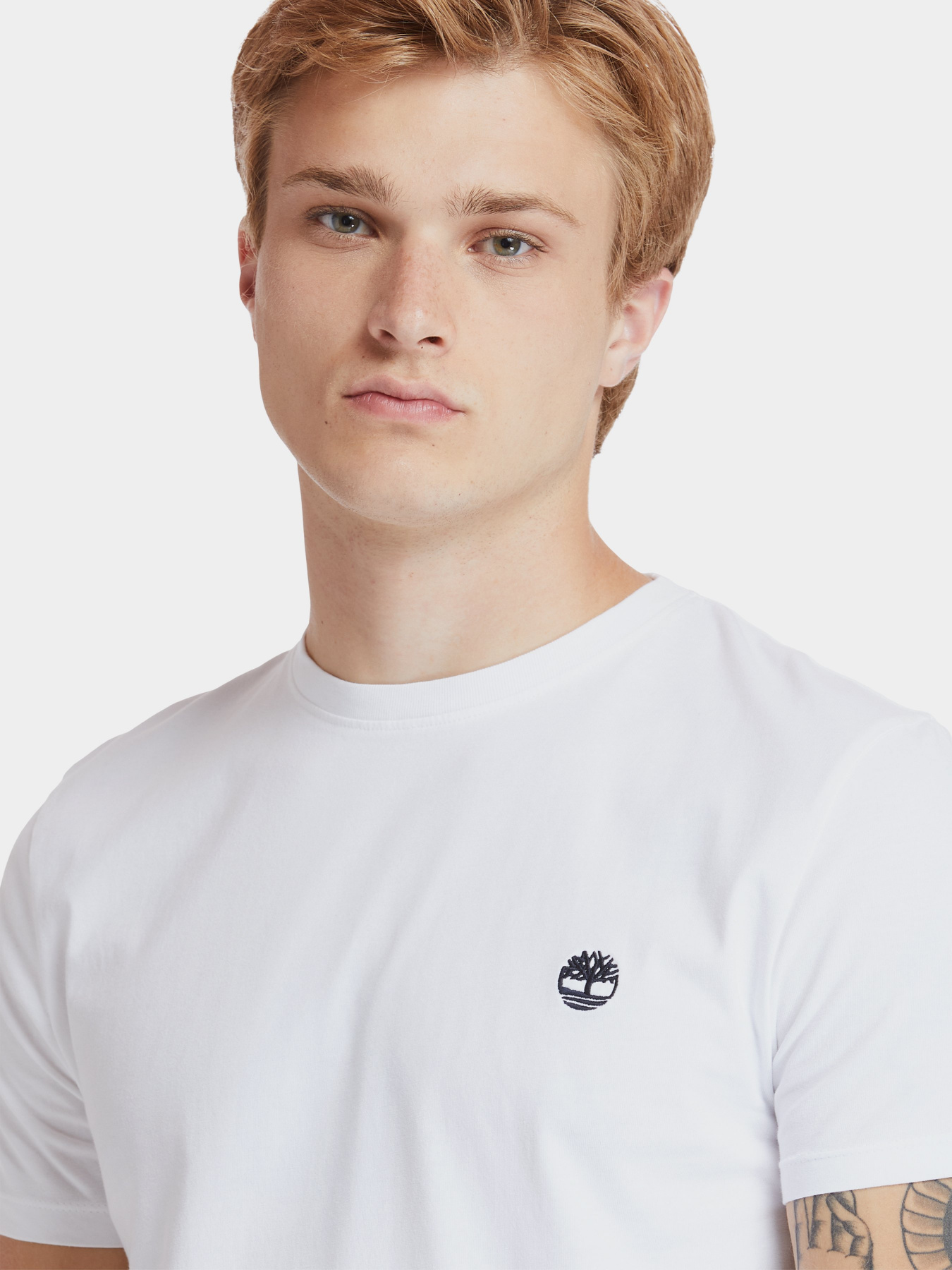 Футболка Timberland Dunstan River модель TB0A2BPR100 Футболка Timberland Dunstan River модель TB0A2BPR100 Фото