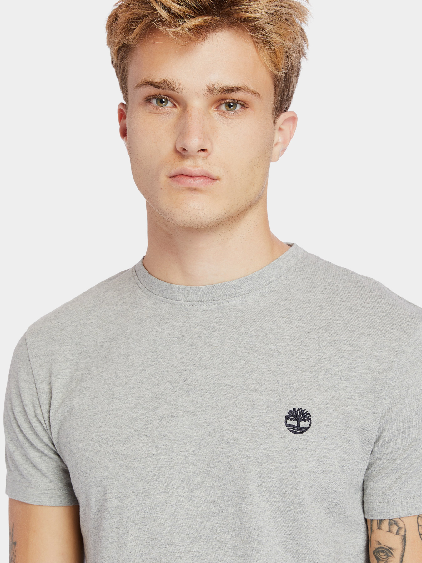 Футболки і поло Timberland Dunstan River Модель TB0A2BPR052 Фото