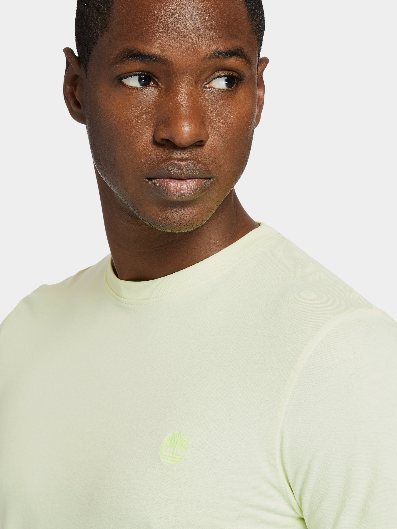 Футболки и поло Timberland Dunstan River модель TB0A2BPR322 Фото