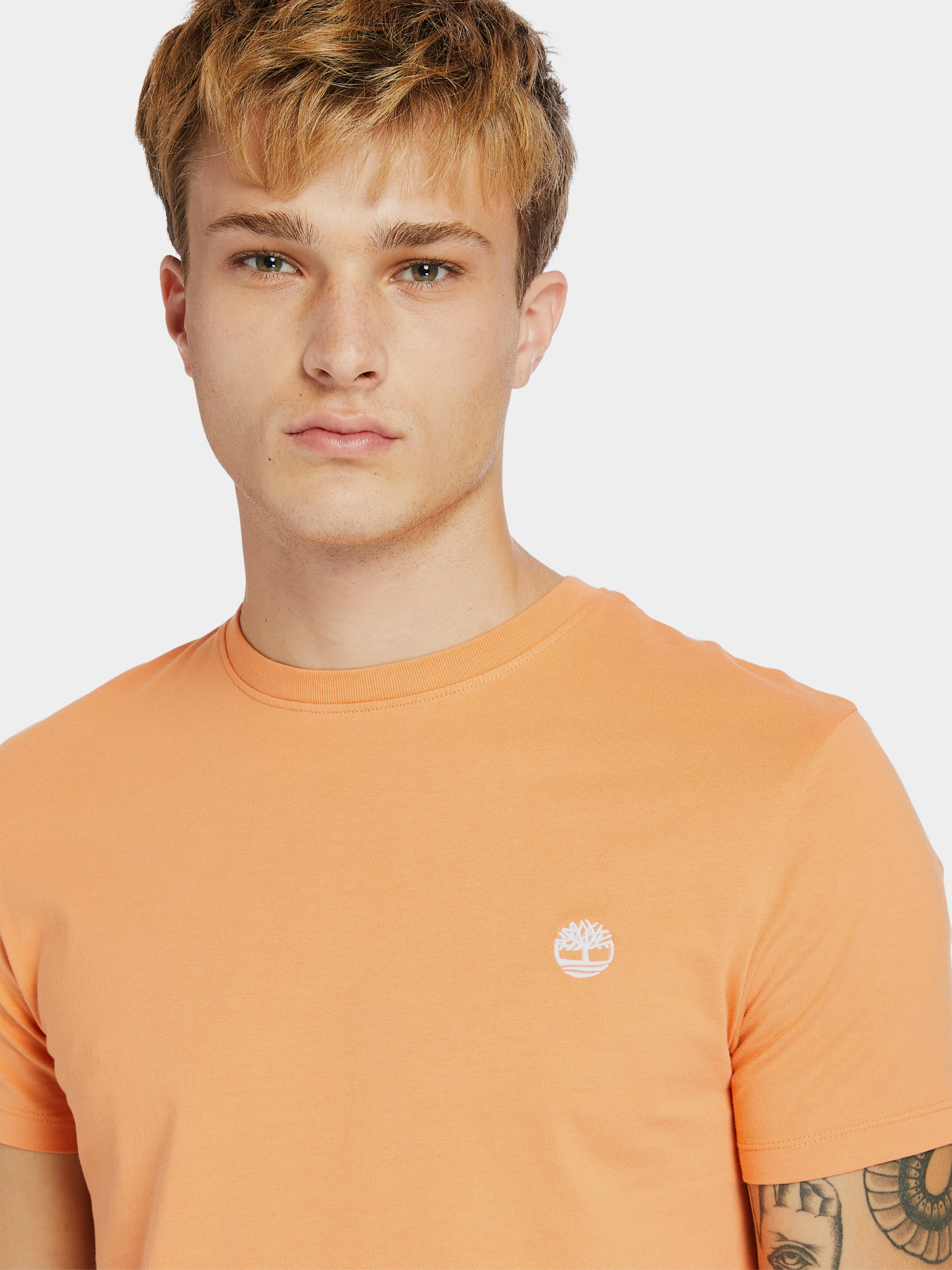 Футболки и поло Timberland Dunstan River модель TB0A2BPRBG4 Фото