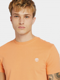 Футболки и поло Timberland Dunstan River модель TB0A2BPRBG4 Фото