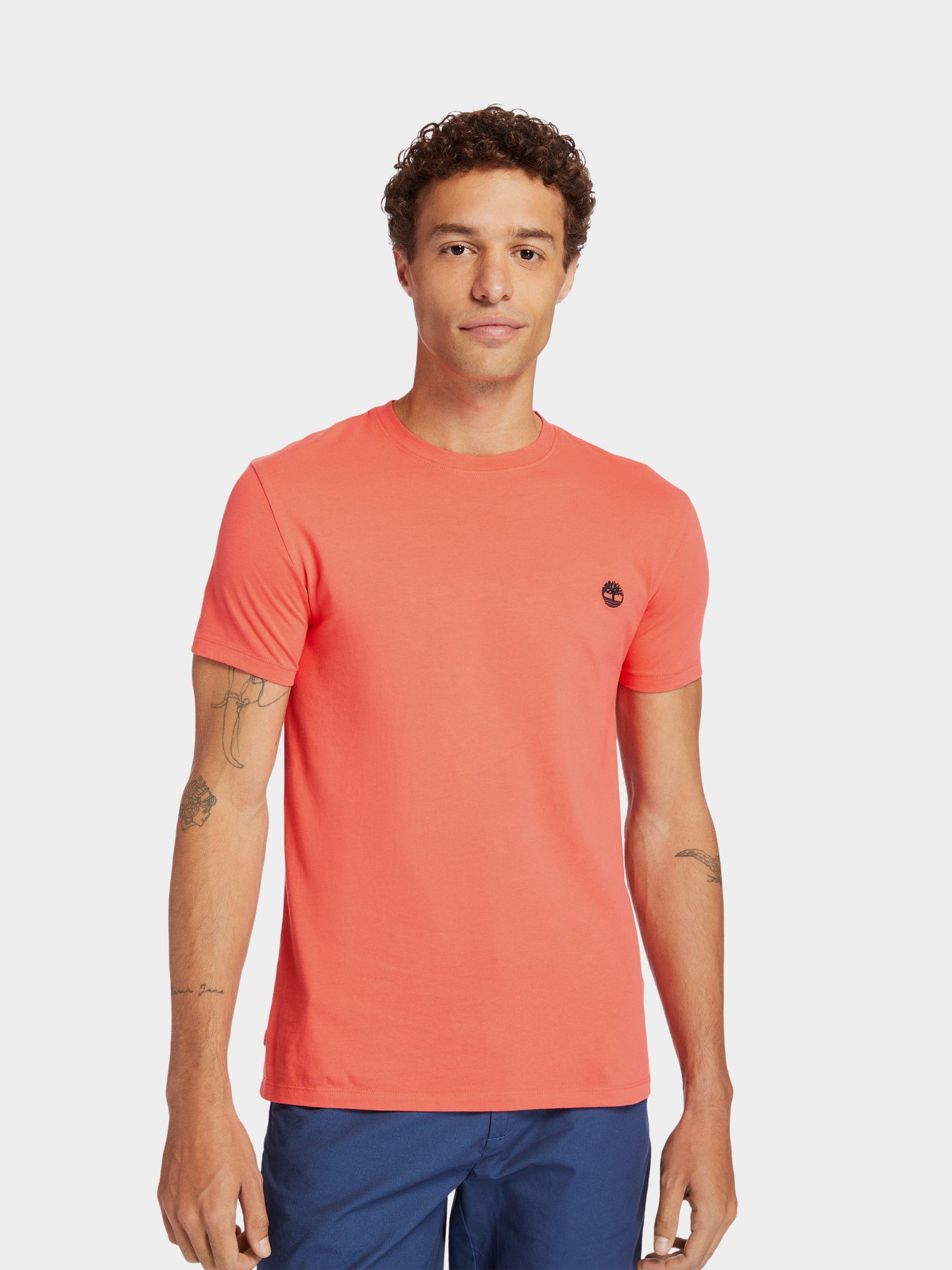 Футболки и поло Timberland Dunstan River модель TB0A2BPR801 Фото