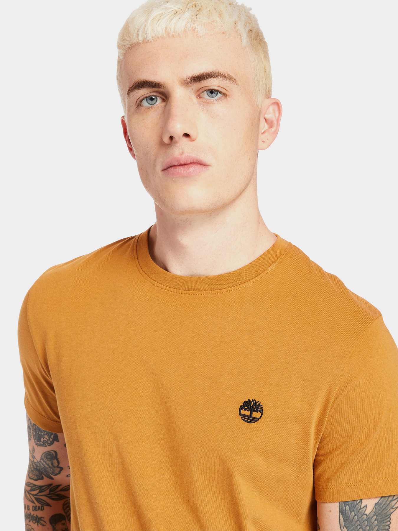 Футболка Timberland Dunstan River Модель TB0A2BPRP47 Фото