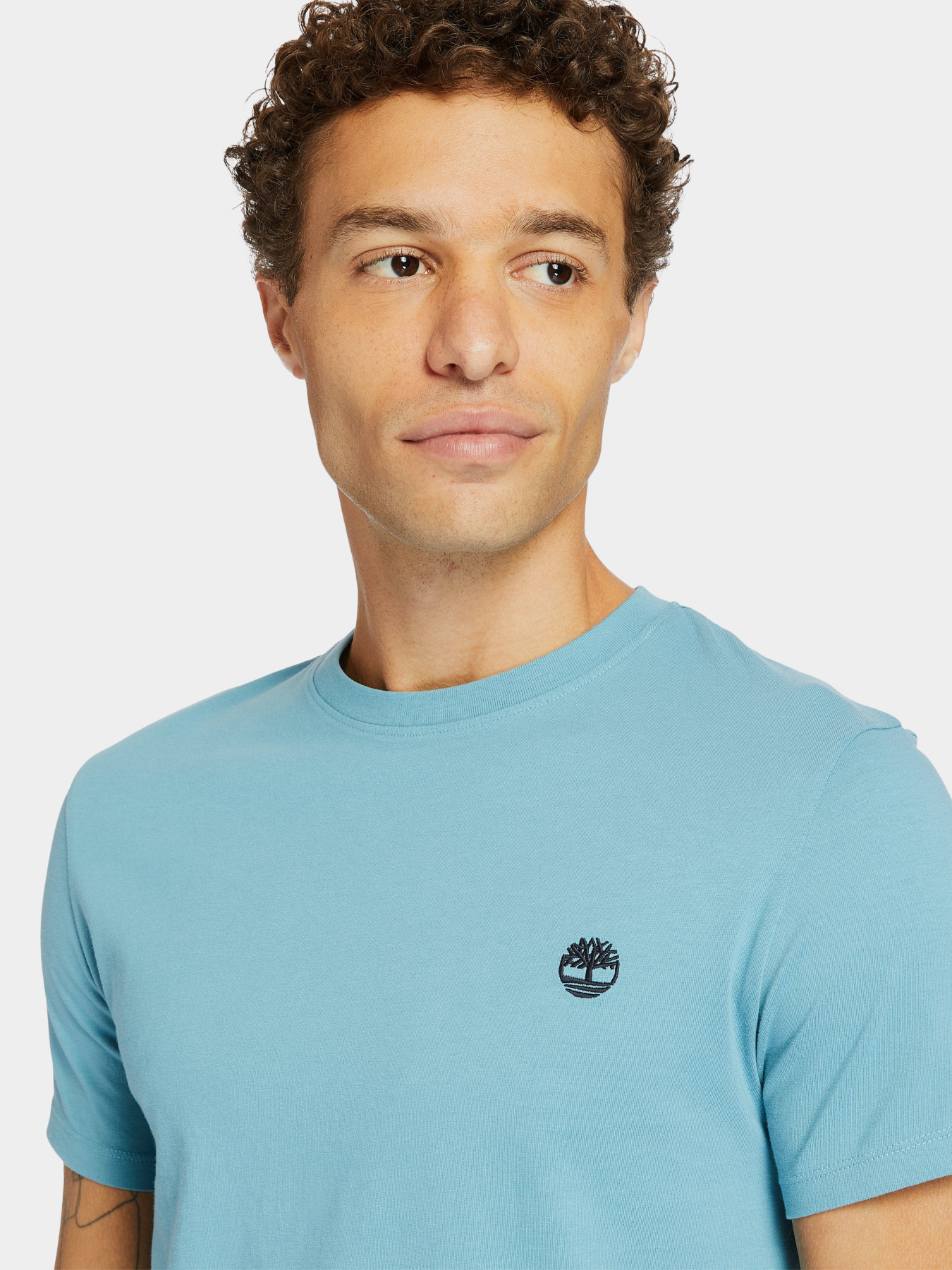 Футболки и поло Timberland Dunstan River модель TB0A2BPRBE3 Фото