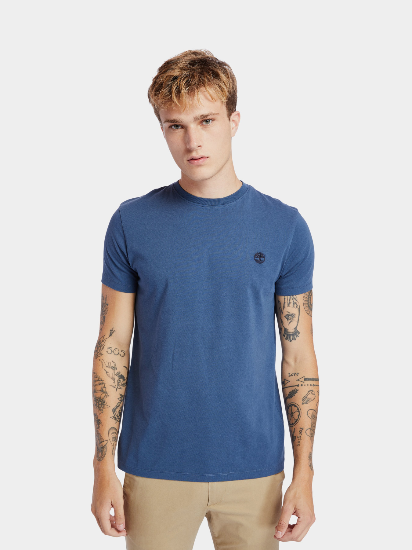 Футболка Timberland Dunstan River Модель TB0A2BPR288 Фото